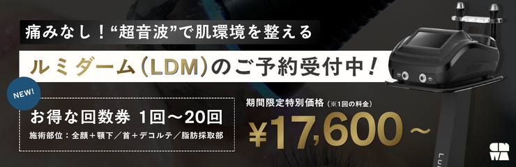 ルミダーム導入