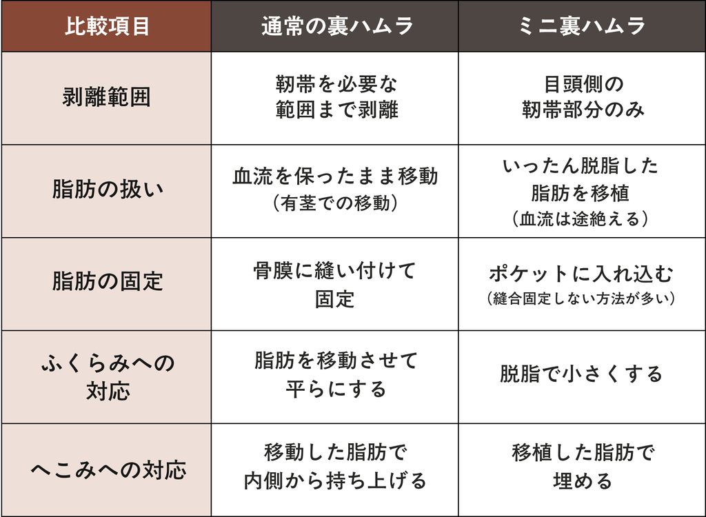 裏ハムラとミニ裏ハムラの違いを比較（剥離範囲・脂肪の扱い・脂肪の固定方法・ふくらみへの対応・へこみへの対応）